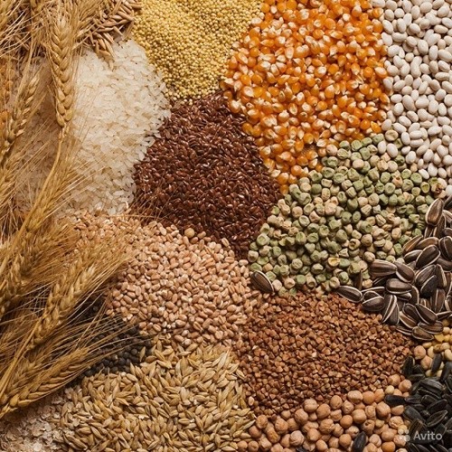 Зерно, картофель, комбикорм