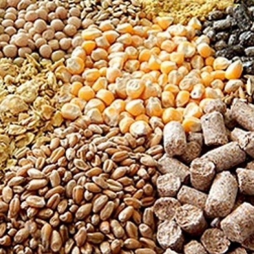 Корма и кормовые добавки для сельхозживотных