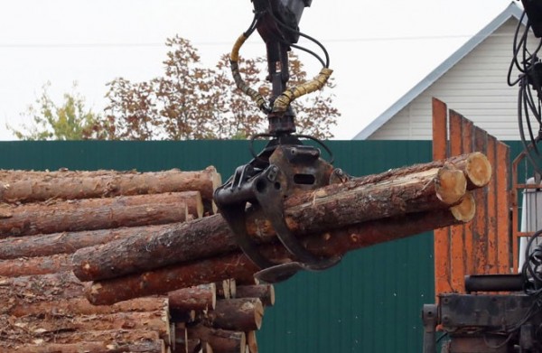 Belarusian commodity exchange hopes to start selling timber to Egypt in 2021