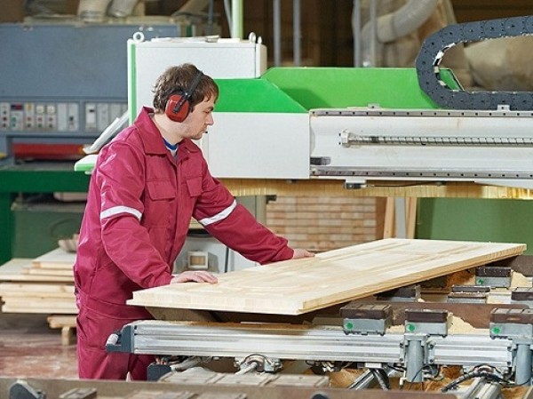Belarus and great Britain to develop cooperation in the field of wood processing
