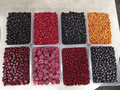 ОАО «Полесские журавины»: замороженные ягоды позволят Вам компенсировать недостаток витаминов в осенне-зимний период