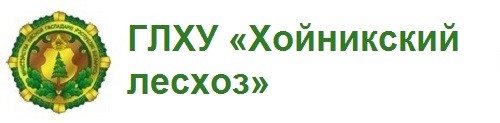 ГЛХУ «Хойникский лесхоз»