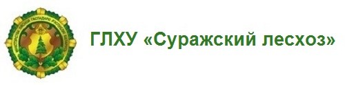 ГЛХУ «Суражский лесхоз»