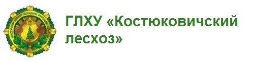 ГЛХУ «Костюковичский лесхоз»