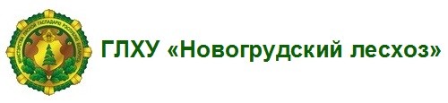 ГЛХУ «Новогрудский лесхоз»